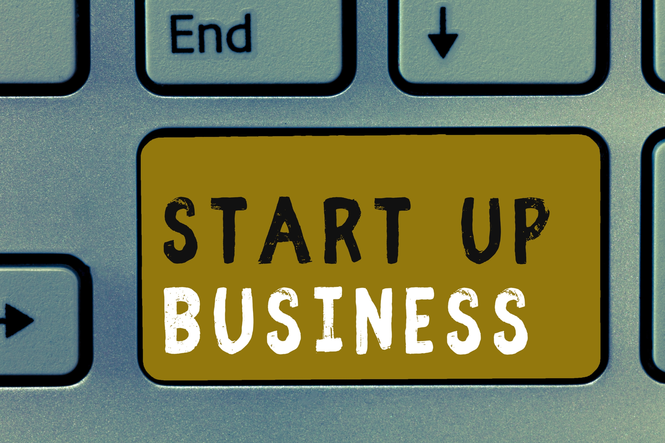 How to Start a Business With Professional Help