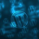 Bet WordPress Developers What Services Do They Offer