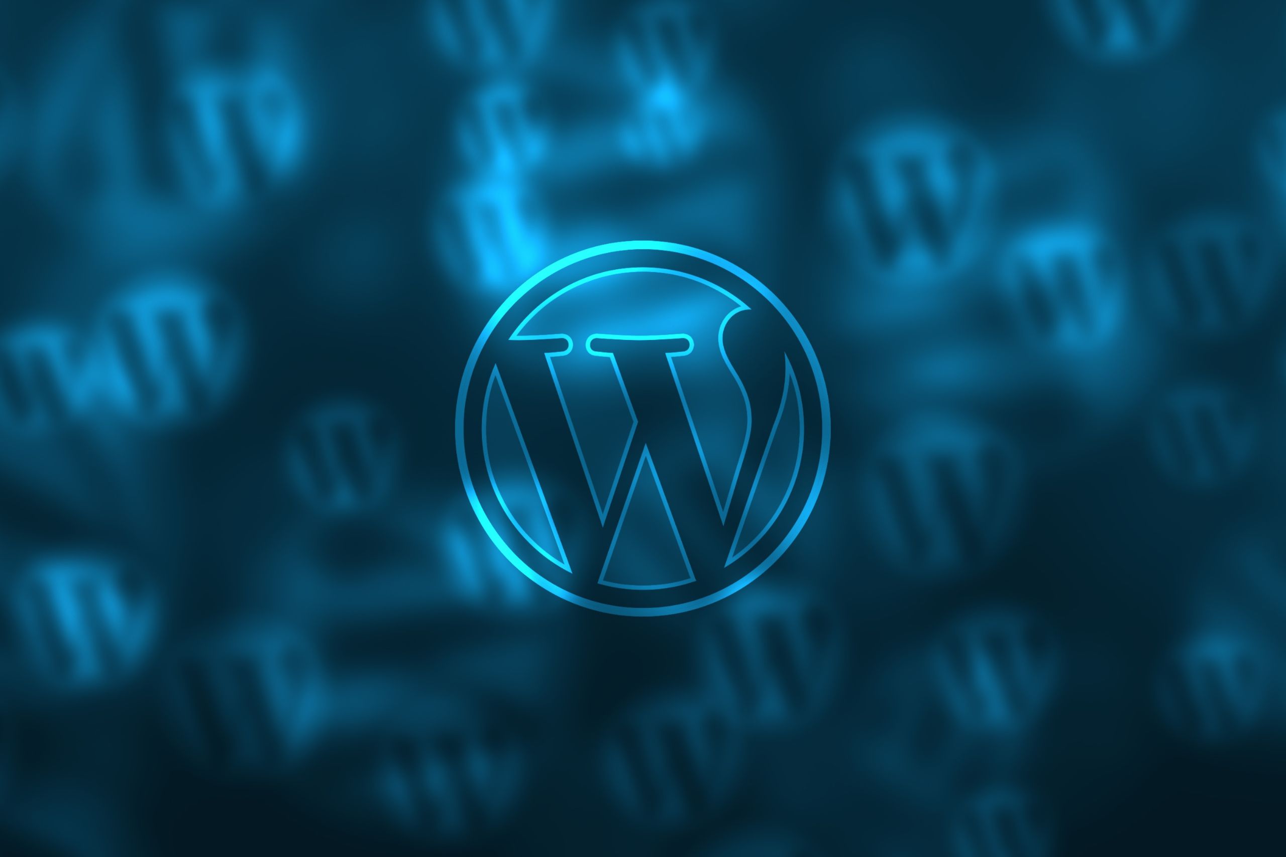 Bet WordPress Developers What Services Do They Offer