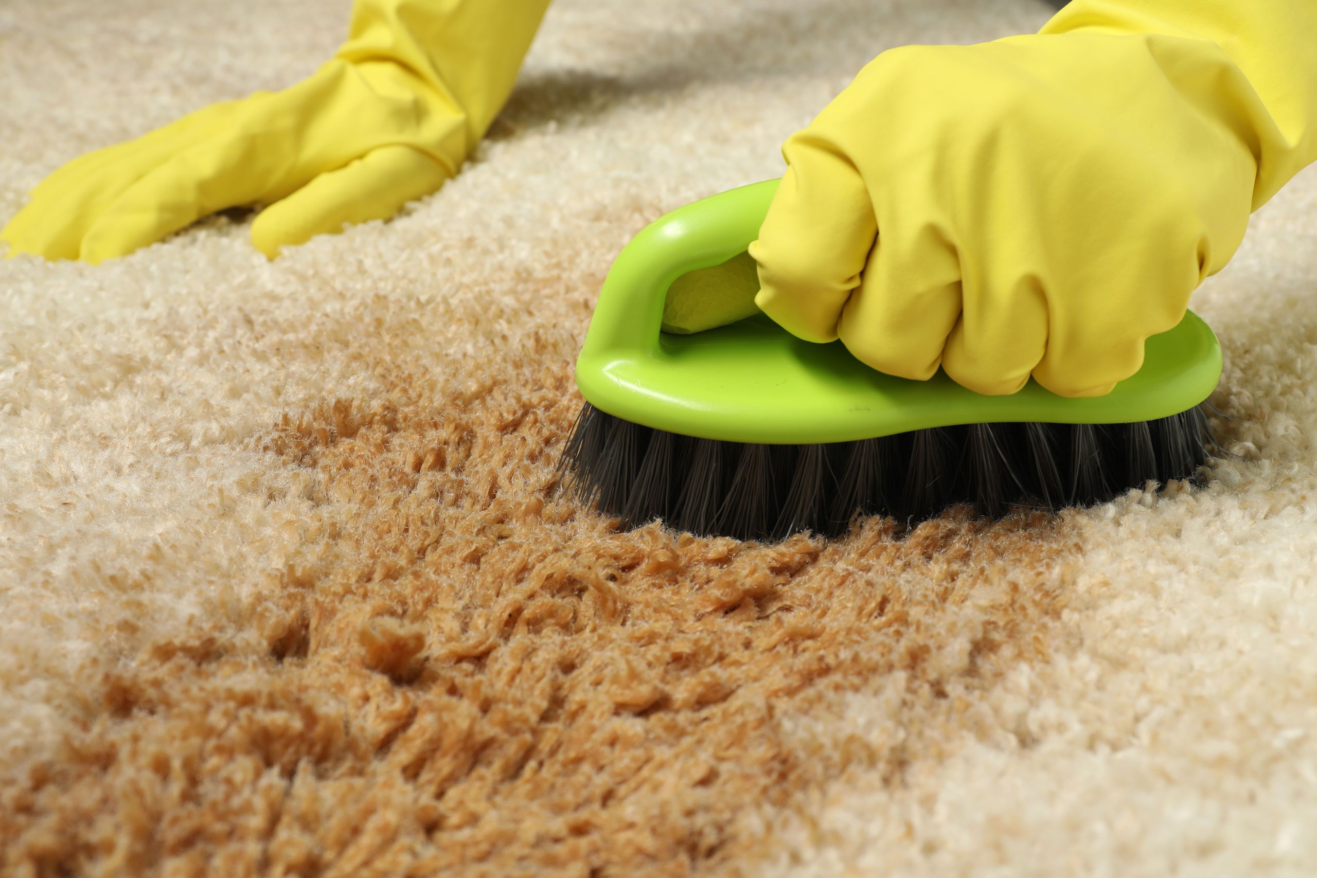 Why You Should Hire Spot & Stain Removals by Professionals