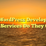 Bet WordPress Developers : What Services Do They Offer?