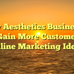 How Aesthetics Businesses Can Gain More Customers by Online Marketing Ideas