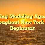 Leading Modeling Agencies throughout New York For Beginners