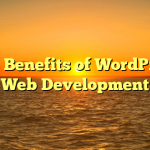 The Benefits of WordPress Web Development