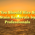 Why You Should Hire Spot & Stain Removals by Professionals